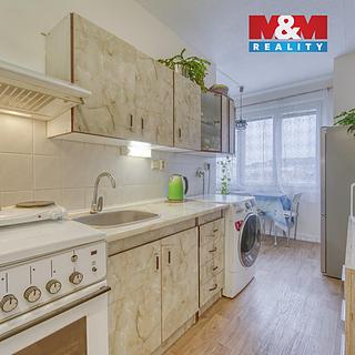 Pronájem bytu 1+1 41 m² Plzeň