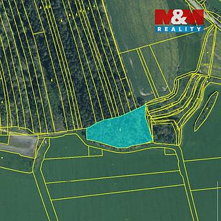 Prodej lesa 13001 m² Koloveč