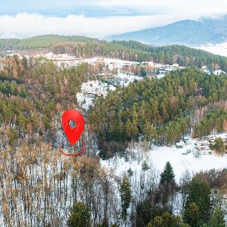 Prodej lesa Mírová pod Kozákovem