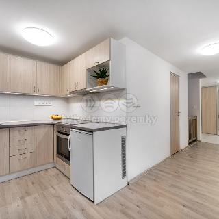 Prodej bytu 2+kk 70 m² Ústí nad Orlicí, T. G. Masaryka