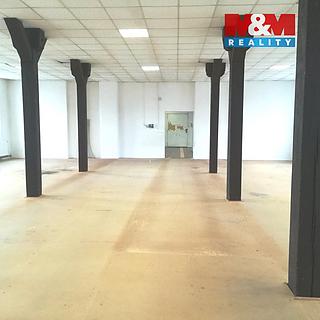 Pronájem Ostatních komerčních prostor 270 m² Strančice