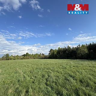 Prodej komerčního pozemku 10254 m² Homole