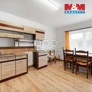 Pronájem bytu 2+1 49 m² Trpín