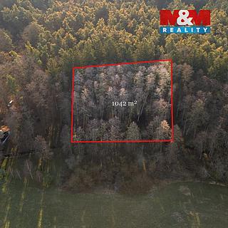 Prodej lesa 1042 m² Týniště nad Orlicí