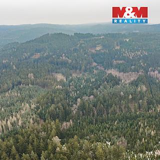 Prodej lesa 6294 m&sup2; Hůrky