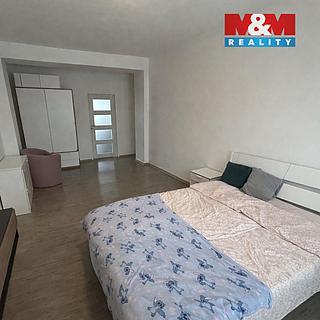 Pronájem bytu 2+1 58 m&sup2; Louny