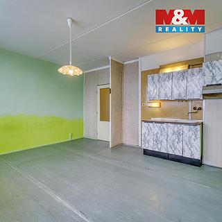 Prodej bytu 1+kk, garsoniery 27 m&sup2; Plzeň