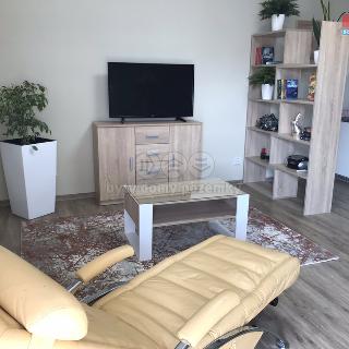 Pronájem bytu 2+kk 48 m² České Budějovice