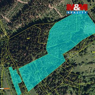 Prodej lesa 32112 m&sup2; Nový Hrozenkov