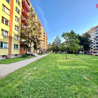 Prodej bytu 1+1 42 m² Orlová