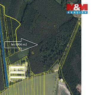 Prodej lesa 8906 m&sup2; Městec Králové