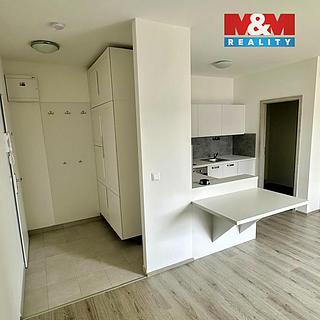 Pronájem bytu 2+kk 40 m&sup2; Slaný