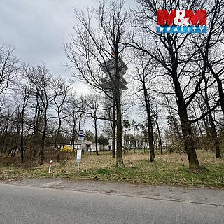 Prodej lesa 3807 m&sup2; Býšť