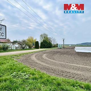 Prodej zemědělské půdy 48734 m&sup2; Starý Vestec