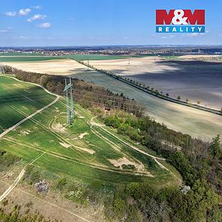 Prodej lesa 4629 m&sup2; Mochov