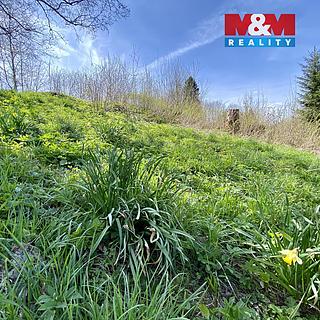 Prodej louky 1153 m&sup2; Bartošovice v Orlických horách