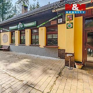 Prodej hotelu, penzionu 850 m&sup2; Horní Bečva