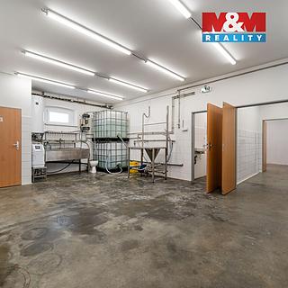 Pronájem výrobního objektu 98 m&sup2; Albrechtice