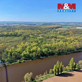 Prodej lesa 70048 m&sup2; Přerov nad Labem