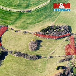 Prodej lesa 8896 m&sup2; Pastviny