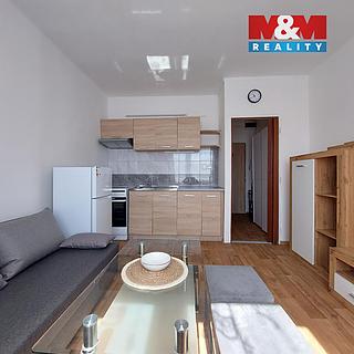 Prodej bytu 1+kk, garsoniery 19 m&sup2; Klášterec nad Ohří