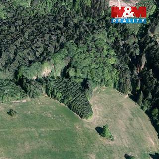 Prodej lesa 8743 m&sup2; Valašská Senice