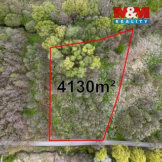 Prodej zemědělské půdy 4130 m&sup2; Dětmarovice