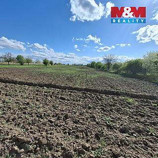 Prodej zemědělské půdy 3033 m&sup2; Pasohlávky