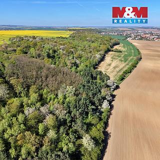 Prodej lesa 5857 m&sup2; Kounice