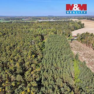 Prodej lesa 4769 m&sup2; Sadská