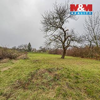 Prodej zemědělské půdy 468 m&sup2; Třebenice