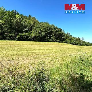 Prodej zemědělské půdy 7613 m&sup2; Zbrašín