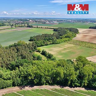 Prodej lesa 5227 m&sup2; Lysá nad Labem