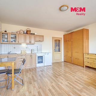 Pronájem bytu 1+kk, garsoniery 33 m&sup2; Plzeň