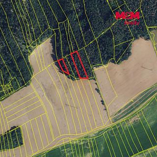 Prodej lesa 3111 m&sup2; Železné