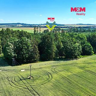 Prodej lesa 5295 m&sup2; Litohoř