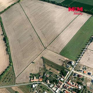 Prodej zemědělské půdy 6332 m&sup2; Šumice