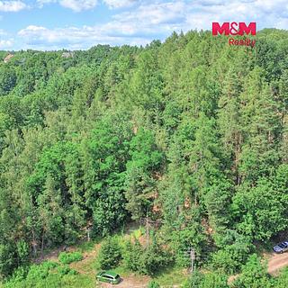 Prodej lesa 32996 m&sup2; Ohnišov