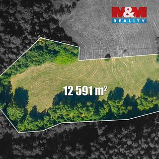 Prodej louky 12591 m&sup2; Český Dub