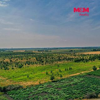 Prodej zemědělské půdy 123477 m&sup2; Rakvice