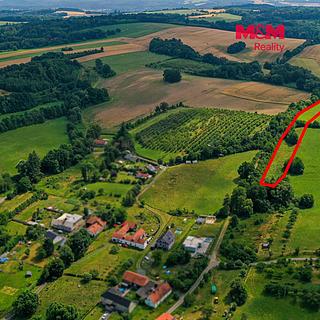 Prodej louky 11803 m&sup2; Polom