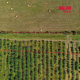 Prodej zemědělské půdy 2771 m&sup2; Polom
