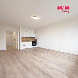 Pronájem bytu 1+kk, garsoniery 30 m&sup2; Bohumín