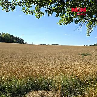 Prodej zemědělské půdy 15359 m&sup2; Horažďovice