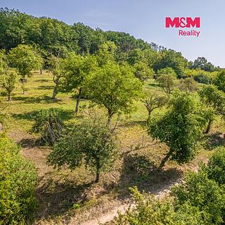 Prodej zahrady 3166 m&sup2; Staré Hrady