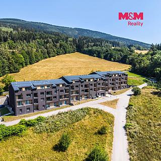 Prodej bytu 2+kk 46 m&sup2; Černý Důl