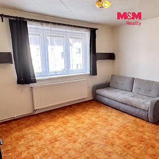 Prodej bytu 3+1 55 m&sup2; Písek