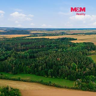 Prodej lesa 4230 m&sup2; Břežany