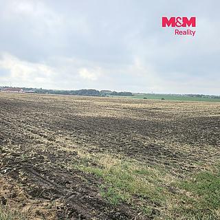 Prodej zemědělské půdy 11543 m&sup2; Ústín