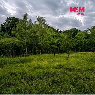 Prodej zemědělské půdy 7746 m&sup2; Nebužely